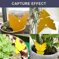 Muff 50Pcs Plug-in Fly Trap Insect Trap Sticker Yellow Garden Insect Catcher Anti Fly Indoor Against Vermin Anti Yellow Nematodes Fly Trap Against Gnats -Indoor Flower Pot 79468416 5