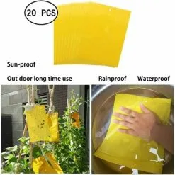 Muff 20 Pcs Yellow Double Sided Fly Trap, Double Sided Yellow Traps For Flying Insects - Greenhouse And Outside, Aphids, Fungus Gnats, Mosquitoes, Aphids, Whiteflies, Flies.(15x20) -Indoor Flower Pot 79468533 4