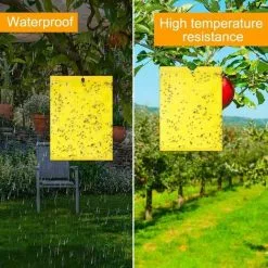 Muff 40Pcs Fly Trap Insect Traps Glue Traps Yellow Plates Double Sided Self-adhesive Plant For Garden Plant Flower Fruit, Protect Plants From Aphids, White Flies,15 X 20 -Indoor Flower Pot 79468646 3