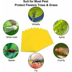 Muff 40Pcs Fly Trap Insect Traps Glue Traps Yellow Plates Double Sided Self-adhesive Plant For Garden Plant Flower Fruit, Protect Plants From Aphids, White Flies,15 X 20 -Indoor Flower Pot 79468646 4
