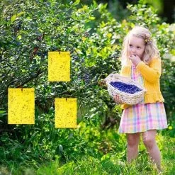 Muff 40Pcs Fly Trap Insect Traps Glue Traps Yellow Plates Double Sided Self-adhesive Plant For Garden Plant Flower Fruit, Protect Plants From Aphids, White Flies,15 X 20 -Indoor Flower Pot 79468646 5