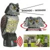 HEGUYEY Koolmei Realistic Birdcage Plastic Owl Scarecrow With Rotating Head And Sound -Indoor Flower Pot 81449543 1