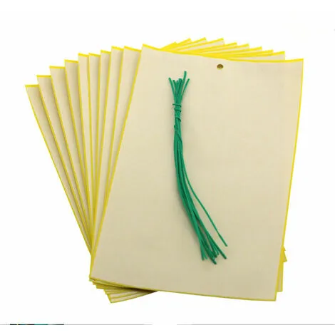 NAXUNNN BR-Vie 20 Pieces Profession Double Sided Sticky Traps, Anti White Fly Insect Traps, Aphids, Moths For Garden Plant Flower Fruits, With Cable Ties(15x25cm) 4 NAXUNNN BR-Vie 20 Pieces Profession Double Sided Sticky Traps, Anti White Fly Insect Traps, Aphids, Moths For Garden Plant Flower Fruits, With Cable Ties(15x25cm) - Image 2