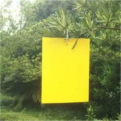 NAXUNNN BR-Vie 20 Pieces Profession Double Sided Sticky Traps, Anti White Fly Insect Traps, Aphids, Moths For Garden Plant Flower Fruits, With Cable Ties(15x25cm) 9 NAXUNNN BR-Vie 20 Pieces Profession Double Sided Sticky Traps, Anti White Fly Insect Traps, Aphids, Moths For Garden Plant Flower Fruits, With Cable Ties(15x25cm) -Indoor Flower Pot 83681773 3