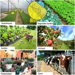 NAXUNNN BR-Vie 20 Pieces Profession Double Sided Sticky Traps, Anti White Fly Insect Traps, Aphids, Moths For Garden Plant Flower Fruits, With Cable Ties(15x25cm) 10 NAXUNNN BR-Vie 20 Pieces Profession Double Sided Sticky Traps, Anti White Fly Insect Traps, Aphids, Moths For Garden Plant Flower Fruits, With Cable Ties(15x25cm) -Indoor Flower Pot 83681773 4