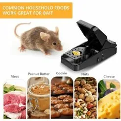 NAXUNNN Domestic Daze, Rat Traps And Rats, Catch And Fill The Mice, 5 Reusable Mouse Traps-- 10 NAXUNNN Domestic Daze, Rat Traps And Rats, Catch And Fill The Mice, 5 Reusable Mouse Traps-- -Indoor Flower Pot 83681786 4