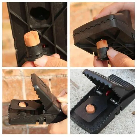 NAXUNNN Domestic Daze, Rat Traps And Rats, Catch And Fill The Mice, 5 Reusable Mouse Traps-- 7 NAXUNNN Domestic Daze, Rat Traps And Rats, Catch And Fill The Mice, 5 Reusable Mouse Traps-- - Image 5