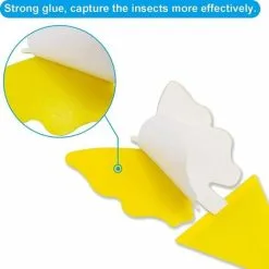 NAXUNNN Yellow Sticky Traps, Insect Sticky Trap For Fruit Flies And Plants For Indoor / ExtérieurCatcher For White Flies, Mosquitoes, Gnats Fungal, 10 NAXUNNN Yellow Sticky Traps, Insect Sticky Trap For Fruit Flies And Plants For Indoor / ExtérieurCatcher For White Flies, Mosquitoes, Gnats Fungal, -Indoor Flower Pot 83681789 4