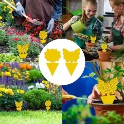 NAXUNNN 48 Piezas De Pegatinas Adhesivas Para Trampas De Insectos, Pegamento De Doble Cara, Impermeable, Amarillo, Antimosquitos, Plantas, Atrapamoscas, Pegatinas Para Plantas De Jardín, Flores, Frutas 9 NAXUNNN 48 Piezas De Pegatinas Adhesivas Para Trampas De Insectos, Pegamento De Doble Cara, Impermeable, Amarillo, Antimosquitos, Plantas, Atrapamoscas, Pegatinas Para Plantas De Jardín, Flores, Frutas -Indoor Flower Pot 83681804 3