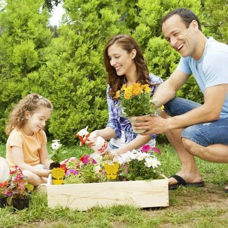 NAXUNNN 48 Piezas De Pegatinas Adhesivas Para Trampas De Insectos, Pegamento De Doble Cara, Impermeable, Amarillo, Antimosquitos, Plantas, Atrapamoscas, Pegatinas Para Plantas De Jardín, Flores, Frutas 7 NAXUNNN 48 Piezas De Pegatinas Adhesivas Para Trampas De Insectos, Pegamento De Doble Cara, Impermeable, Amarillo, Antimosquitos, Plantas, Atrapamoscas, Pegatinas Para Plantas De Jardín, Flores, Frutas - Image 5