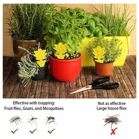 NAXUNNN 12pcs Insect Trap Wet Trap Sticker Double Sided Waterproof Ribbon Flytrap White Garden Plants - 5 NAXUNNN 12pcs Insect Trap Wet Trap Sticker Double Sided Waterproof Ribbon Flytrap White Garden Plants - - Image 3