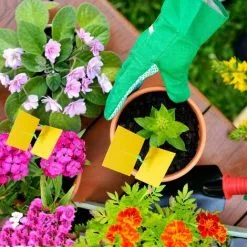 NAXUNNN 12pcs Insect Trap Wet Trap Sticker Double Sided Waterproof Ribbon Flytrap White Garden Plants - 11 NAXUNNN 12pcs Insect Trap Wet Trap Sticker Double Sided Waterproof Ribbon Flytrap White Garden Plants - -Indoor Flower Pot 83681814 5