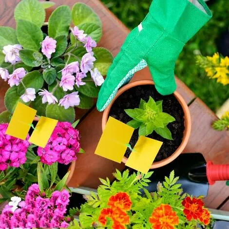 NAXUNNN 12pcs Insect Trap Wet Trap Sticker Double Sided Waterproof Ribbon Flytrap White Garden Plants - 7 NAXUNNN 12pcs Insect Trap Wet Trap Sticker Double Sided Waterproof Ribbon Flytrap White Garden Plants - - Image 5