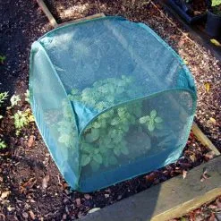 GARDENSKILL Mini Pop Up Net Fruit Cage - 50cm X 50cm X 50cm -Indoor Flower Pot 8515141 4