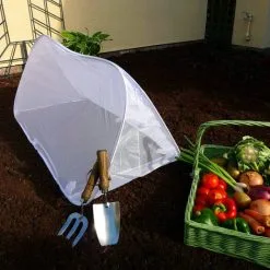 GARDENSKILL Pop-Up Insect Net Cloche & Total Pest Protection Cover – 1.25m Long X 0.5m Wide X 0.5m High -Indoor Flower Pot 8515154 4