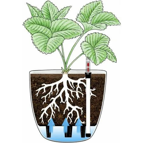 GDRHVFD White Self-Irrigation Flower Box 15.5 13cm Plastic Round Set Of 4, Pot With Water Reserve And Water Level Indicator Pot With Watering System 5 GDRHVFD White Self-Irrigation Flower Box 15.5 13cm Plastic Round Set Of 4, Pot With Water Reserve And Water Level Indicator Pot With Watering System - Image 3