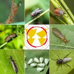 RHAFAYRE 48Pcs Plug-in Fly Trap Yellow Plates Yellow Sticker Plant Protection Against Aphids, Leaf Flies And Vermin, For Plants On The Balcony Or In The Garden -Indoor Flower Pot 88826520 3