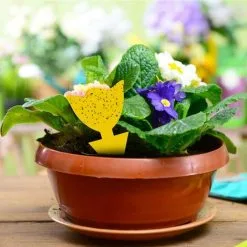 RHAFAYRE 48Pcs Plug-in Fly Trap Yellow Plates Yellow Sticker Plant Protection Against Aphids, Leaf Flies And Vermin, For Plants On The Balcony Or In The Garden -Indoor Flower Pot 88826520 4