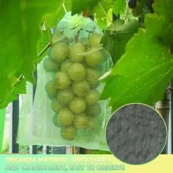BOED 50 Pieces Grape Protection Bag, 30x20cm, Organza Bags, Fruit Protection Bag, Insect Net, Protection And Pest Control For Garden (Green) -Indoor Flower Pot 89263795 5