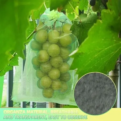 BOED 50 Pieces Grape Protection Bag, 30x20cm, Organza Bags, Fruit Protection Bag, Insect Net, Protection And Pest Control For Garden (Green) 7 BOED 50 Pieces Grape Protection Bag, 30x20cm, Organza Bags, Fruit Protection Bag, Insect Net, Protection And Pest Control For Garden (Green) - Image 5