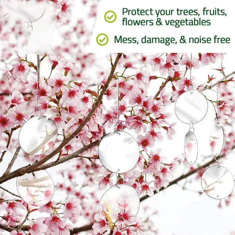 MODOU Premium Bird Deterrent Discs With Reflective Hanger To Deter Birds Like Woodpeckers. 6 MODOU Premium Bird Deterrent Discs With Reflective Hanger To Deter Birds Like Woodpeckers. - Image 4