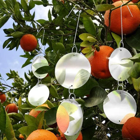 MODOU Premium Bird Deterrent Discs With Reflective Hanger To Deter Birds Like Woodpeckers. 7 MODOU Premium Bird Deterrent Discs With Reflective Hanger To Deter Birds Like Woodpeckers. - Image 5