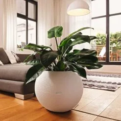 Planter PURO Color 50 ALL-IN-ONE Diameter 49 Cm White LECHUZA -Indoor Flower Pot 91075576 5