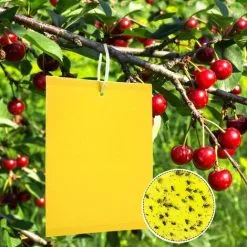 NAXUNNN 50 Insect Traps, Double -sided Sticky Paper, Yellow Sticky Papers For White Flies, Aphids, Minor With Twisted Links, 15cm X 20 Cm