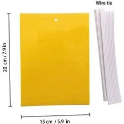 NAXUNNN 50 Insect Traps, Double -sided Sticky Paper, Yellow Sticky Papers For White Flies, Aphids, Minor With Twisted Links, 15cm X 20 Cm 9 NAXUNNN 50 Insect Traps, Double -sided Sticky Paper, Yellow Sticky Papers For White Flies, Aphids, Minor With Twisted Links, 15cm X 20 Cm -Indoor Flower Pot 91504737 3