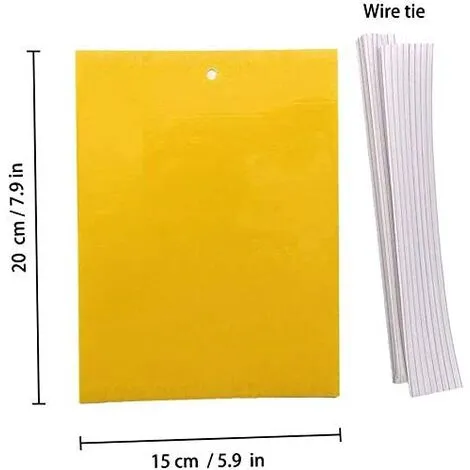 NAXUNNN 50 Insect Traps, Double -sided Sticky Paper, Yellow Sticky Papers For White Flies, Aphids, Minor With Twisted Links, 15cm X 20 Cm 5 NAXUNNN 50 Insect Traps, Double -sided Sticky Paper, Yellow Sticky Papers For White Flies, Aphids, Minor With Twisted Links, 15cm X 20 Cm - Image 3
