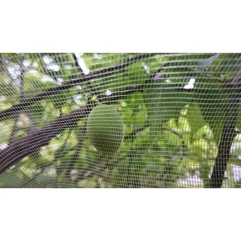 SWYEOOT Fruit Tree Netting 1.8m X 1.8m, Plant Insect Netting, Fine Mesh Insect Netting With Drawstring, Anti Bird Netting For Protection Fruit Tree, Tree 4 SWYEOOT Fruit Tree Netting 1.8m X 1.8m, Plant Insect Netting, Fine Mesh Insect Netting With Drawstring, Anti Bird Netting For Protection Fruit Tree, Tree - Image 2