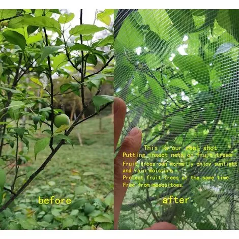 SWYEOOT Fruit Tree Netting 1.8m X 1.8m, Plant Insect Netting, Fine Mesh Insect Netting With Drawstring, Anti Bird Netting For Protection Fruit Tree, Tree 5 SWYEOOT Fruit Tree Netting 1.8m X 1.8m, Plant Insect Netting, Fine Mesh Insect Netting With Drawstring, Anti Bird Netting For Protection Fruit Tree, Tree - Image 3
