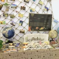 DECKON Plant Support Net, Eco-Friendly, Biodegradable, Garden Climbing Plants, Hanging For Photos, Child Safety Net (2 X 5m) -Indoor Flower Pot 92874573 5