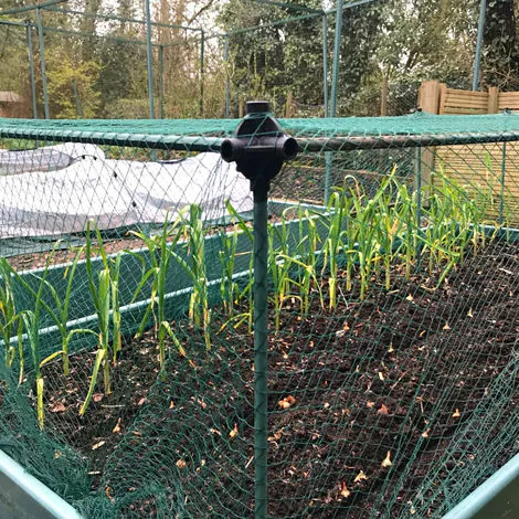 GARDENSKILL No Frills Fruit & Veg Cage With Bird Net - 0.75m X 0.75m X 0.65m High 5 GARDENSKILL No Frills Fruit & Veg Cage With Bird Net - 0.75m X 0.75m X 0.65m High - Image 3