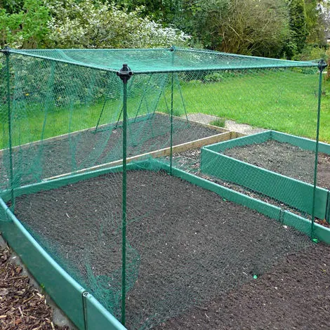 GARDENSKILL No Frills Fruit & Veg Cage With Butterfly Net - 0.75m X 0.75m X 0.65m High 3 GARDENSKILL No Frills Fruit & Veg Cage With Butterfly Net - 0.75m X 0.75m X 0.65m High