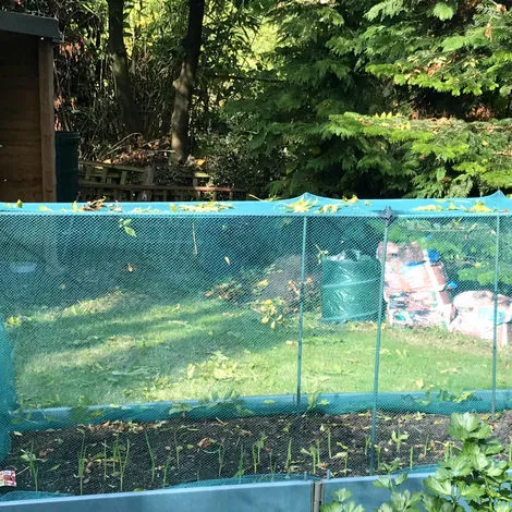 GARDENSKILL No Frills Fruit & Veg Cage With Butterfly Net - 0.75m X 0.75m X 0.65m High 4 GARDENSKILL No Frills Fruit & Veg Cage With Butterfly Net - 0.75m X 0.75m X 0.65m High - Image 2