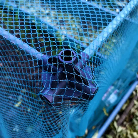 GARDENSKILL No Frills Fruit & Veg Cage With Butterfly Net - 0.75m X 0.75m X 0.65m High 5 GARDENSKILL No Frills Fruit & Veg Cage With Butterfly Net - 0.75m X 0.75m X 0.65m High - Image 3