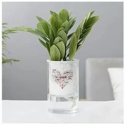 TUMALAGIA Self-Watering Flowerpot - Ceramic - Double Layer - Creative - For Indoor And Outdoor, C 9 TUMALAGIA Self-Watering Flowerpot - Ceramic - Double Layer - Creative - For Indoor And Outdoor, C -Indoor Flower Pot 93870229 3