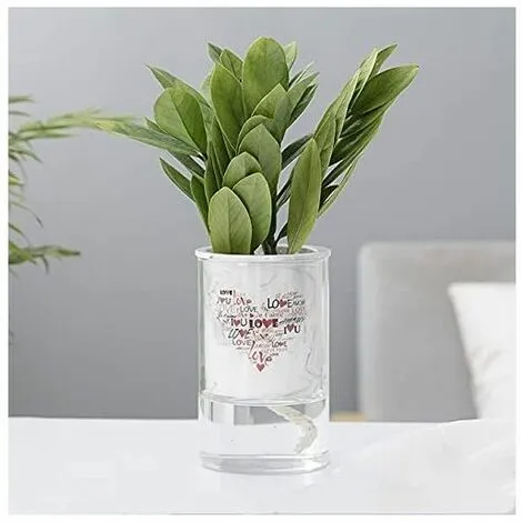 TUMALAGIA Self-Watering Flowerpot - Ceramic - Double Layer - Creative - For Indoor And Outdoor, C 5 TUMALAGIA Self-Watering Flowerpot - Ceramic - Double Layer - Creative - For Indoor And Outdoor, C - Image 3