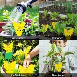 NAXUNNN 12 Pack Fruit Fly Traps, Double-sided Sticky Fungus Gnat Killer Yellow Insect Catcher Sticky Bug Insect Killer For Houseplant Fly Insect Control Indoor And Outdoor -Indoor Flower Pot 93936963 5