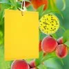 NICEONE Pack Of 50 Yellow Boards Fly Catcher Stickers, Yellow Trap Sticky Insect Traps, Perfect Against Bugs In Your Garden - Against Fungus Gnats, Aphids, Leafminers And Whiteflies 1 NICEONE Pack Of 50 Yellow Boards Fly Catcher Stickers, Yellow Trap Sticky Insect Traps, Perfect Against Bugs In Your Garden - Against Fungus Gnats, Aphids, Leafminers And Whiteflies -Indoor Flower Pot 94517763 1