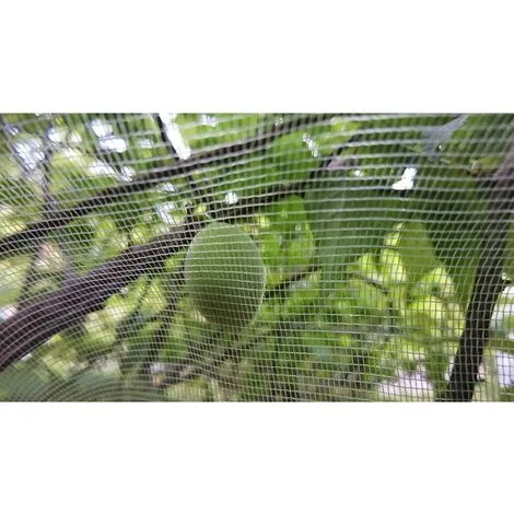 HEGUYEY Fruit Tree Netting 1.8m X 1.8m, Plant Insect Netting, Fine Mesh Insect Netting With Drawstring, Anti Bird Netting For Protection Fruit Tree, Tree 4 HEGUYEY Fruit Tree Netting 1.8m X 1.8m, Plant Insect Netting, Fine Mesh Insect Netting With Drawstring, Anti Bird Netting For Protection Fruit Tree, Tree - Image 2
