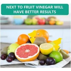 TUMALAGIA 100 Pieces Of Self-adhesive Legionnaire's Board Sticker For Trapping Fruit Flies -Indoor Flower Pot 95311457 5