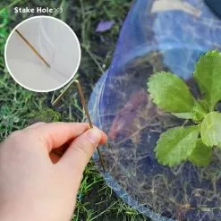 GTA Dome Shaped Garden Cloches For Plants Reusable Mini Greenhouse Set Of 6 19.1cm Deep X 17.9cm High With 18 Ground Stakes And 10 Plant Tags For Outdoor Use 11 GTA Dome Shaped Garden Cloches For Plants Reusable Mini Greenhouse Set Of 6 19.1cm Deep X 17.9cm High With 18 Ground Stakes And 10 Plant Tags For Outdoor Use -Indoor Flower Pot 95648553 5