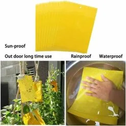 Soleil 50 Insect Traps, Double Sided Sticky Paper, Yellow Sticky Papers For White Fly Leaf, Aphids, Leafminer With Twist Ties, 15cm X 20cm 10 Soleil 50 Insect Traps, Double Sided Sticky Paper, Yellow Sticky Papers For White Fly Leaf, Aphids, Leafminer With Twist Ties, 15cm X 20cm -Indoor Flower Pot 95878161 4