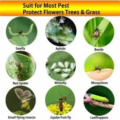 Soleil 50 Insect Traps, Double Sided Sticky Paper, Yellow Sticky Papers For White Fly Leaf, Aphids, Leafminer With Twist Ties, 15cm X 20cm 11 Soleil 50 Insect Traps, Double Sided Sticky Paper, Yellow Sticky Papers For White Fly Leaf, Aphids, Leafminer With Twist Ties, 15cm X 20cm -Indoor Flower Pot 95878161 5