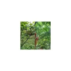 WENH Fruit Tree Netting 1.8m X 1.8m, Plant Insect Netting, Fine Mesh Insect Netting With Drawstring, Anti Bird Netting For Protection Fruit Tree, Tree -Indoor Flower Pot 97556479 3