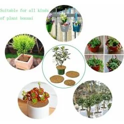 PENY Coco Plant Mat, Coco Mulching Disc, Winter Protection For Potted Plants, Protect Potted Plant Roots From Frost 30cm 6Pcs 9 PENY Coco Plant Mat, Coco Mulching Disc, Winter Protection For Potted Plants, Protect Potted Plant Roots From Frost 30cm 6Pcs -Indoor Flower Pot 97813483 3