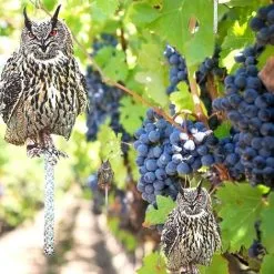 OSQI Bird Scarer With Repellent Strip Anti Pigeon Repellent Outdoor Cat Bird Scarecrow Keep Crow Pigeons Away From Balconies Patios Windows Set Of 4 Owls -Indoor Flower Pot 98498009 5