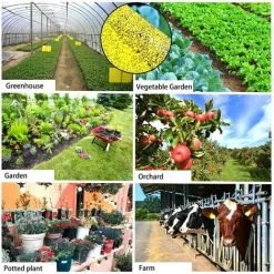 DECKON 50 Pieces Yellow Double Sided Fly Trap, Double Sided Yellow Traps For Flying Insects - Greenhouse And Outside, Aphids, Fungus Gnats, Mosquitoes, Aphids, Whiteflies, Flies.(15x20cm) -Indoor Flower Pot 98759873 4